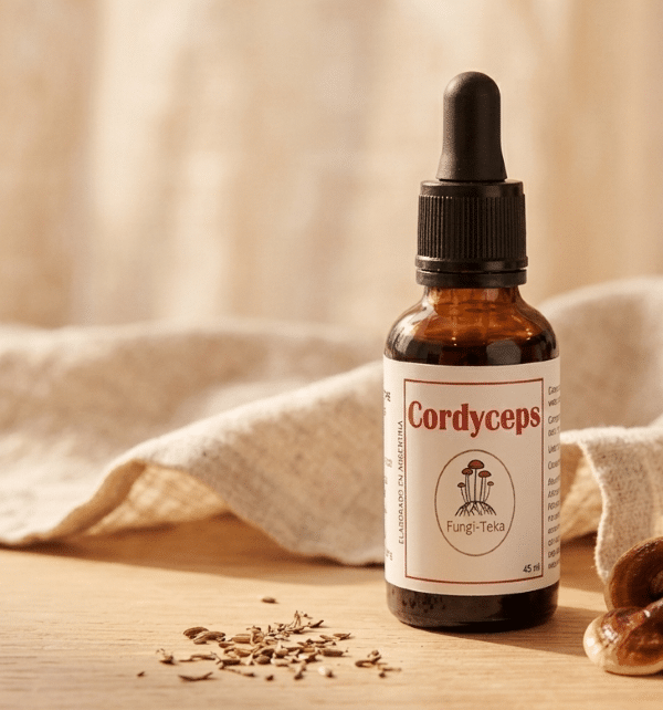 extracto cordyceps