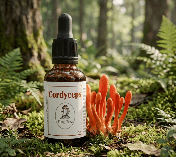 Cordyceps militaris